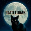 GATO LUNAR