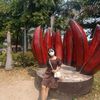tingnam05