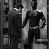 fratello613