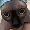 faierball