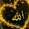 user7069561386883