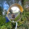 roisin_mchugh13