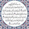 noura.salam49