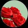 آلَآسِطِوٌرهّ آبًنِ آدٍلَبً