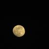 yousef.albastaki4