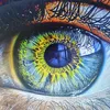 artifex_fantasy