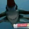 colgatetleviathan