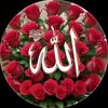 songl5871evsan