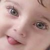 om_safi_eddin