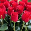 dineshra337