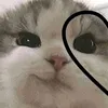 kevin_leonardo777