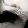 illlo_milo