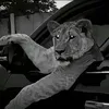 7ama_584