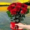 user5611543777079