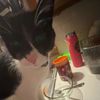 ilikesourpunches