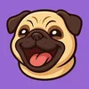 chilliger_typ23