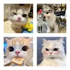 hailey_032415