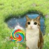 kitty.flow98