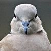 kevin.chetla