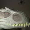 ur.fav.dinosaur.fanatic