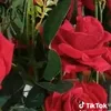buonlamchiemoi123