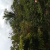user8782588707851