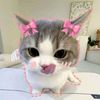 luci_blackpink.4