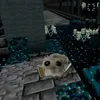 _vimer8