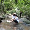 wean.kaewmanisxn