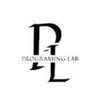Programming lab
