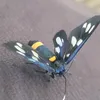 denishenriksen