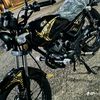 alemn281