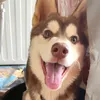 koltin_rusk