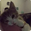 thduong._009