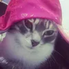 yukimarkiey66