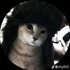 chellsyyz6