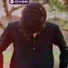 mentaljatt804_