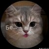 .sianu2