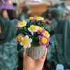 husnul.aisyah6