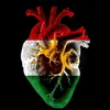 ya__67_s1