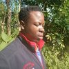 user254347713288