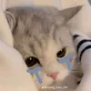 _yeucapttain_