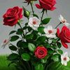 user7868609411615
