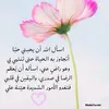 user3546959261345