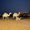 renad.mohamed055