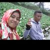 afdan.arsya5