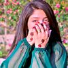 qureshiqueen6813