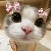 munia__07