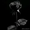 amiram.lp