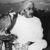 abo_5leef